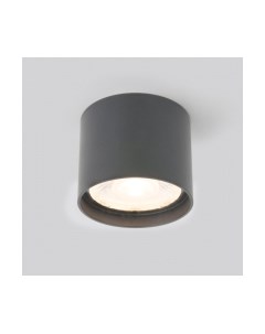 Светильник уличный Elektrostandard Light LED 2105 35132/H