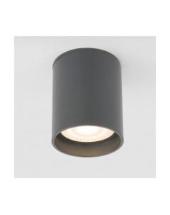 Светильник уличный Elektrostandard Light LED 2104 35130/H