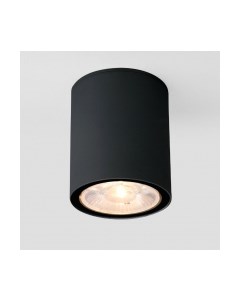 Светильник уличный Elektrostandard Light 2103 35131/H