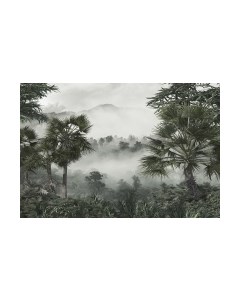 Фотообои листовые Vimala Тропические джунгли