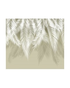 Фотообои листовые Citydecor Пальмовые листья 2