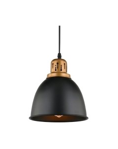 Потолочный светильник Arte Lamp Eurica A4245SP-1BK Arte lamp