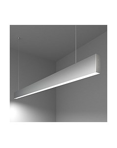 Потолочный светильник Elektrostandard 101-200-30-128 25W 6500K