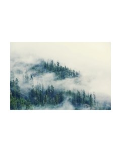 Фотообои листовые Vimala Лес в тумане 2