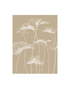 Фотообои листовые Citydecor Perfect Lines 3