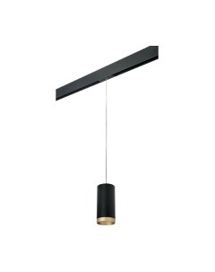 Трековый светильник Lightstar Rullo PRORP648790