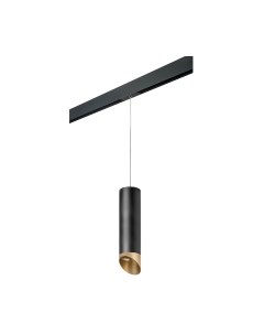 Трековый светильник Lightstar Rullo PRORP6497190