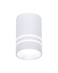 Точечный светильник Ambrella TN236 SL/S