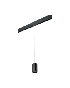 Трековый светильник Lightstar Rullo PRORP437