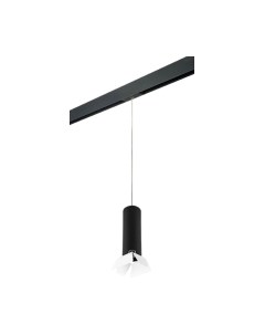 Трековый светильник Lightstar Rullo PRORP497436