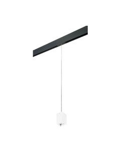 Трековый светильник Lightstar Rullo PRORP336