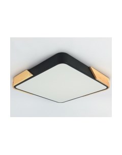 Потолочный светильник Ambrella FZ1316