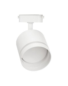 Трековый светильник INhome TR-GX53-TL 54RW GX53 / 4690612043791 Inhome