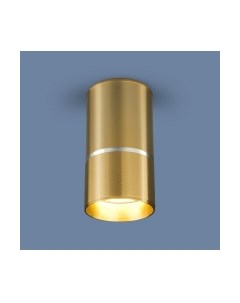 Точечный светильник Elektrostandard DLN106 GU10