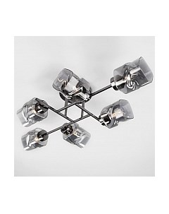 Люстра Евросвет Hilari 30165/6
