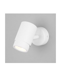 Спот Евросвет Morgan 20124/1