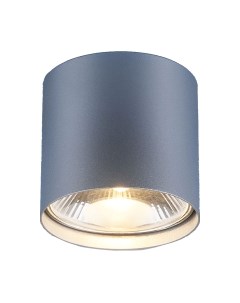 Точечный светильник Elektrostandard 6876 SL