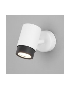 Спот Евросвет Morgan 20124/1