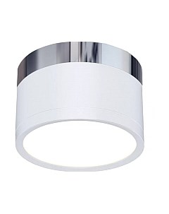 Точечный светильник Elektrostandard DLR029 10W 4200K