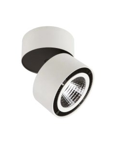 Точечный светильник Lightstar Forte Muro 214830