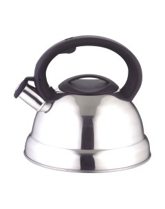 Чайник со свистком Astiat AST1010