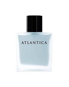 Парфюмерная вода Dilis Parfum Atlantica Silver Moon Dilis parfum
