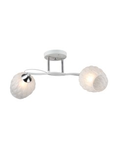 Потолочный светильник Aitin-Pro НПБ 02-2x60-101 / C1724/2 Aitin-pro