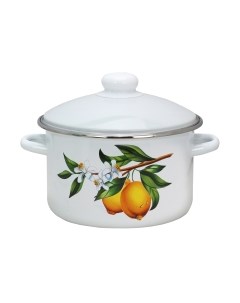 Кастрюля Эмаль Лимоны 01-Б1612/4