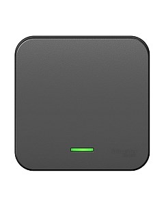 Выключатель Systeme (Schneider) Electric Blanca BLNVA106116 Systeme (schneider) electric