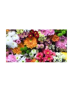 Фотообои листовые ФабрикаФресок Цветочная Оранжерея / 1015270 Фабрикафресок