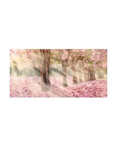 Фотообои листовые Citydecor Сказочная природа 5