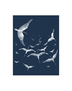 Фотообои листовые Citydecor Perfect Lines 8