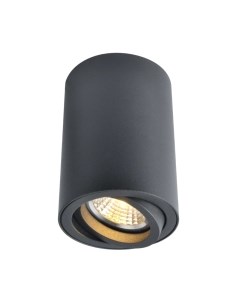 Точечный светильник Arte Lamp Sentry A1560PL-1BK Arte lamp