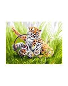 Картина по номерам БЕЛОСНЕЖКА Кутерьма в пятнышках / 345-AS Белоснежка