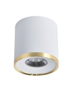 Потолочный светильник FAVOURITE 3085-2C Favourite