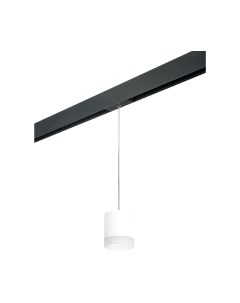 Трековый светильник Lightstar Rullo PRORP348680