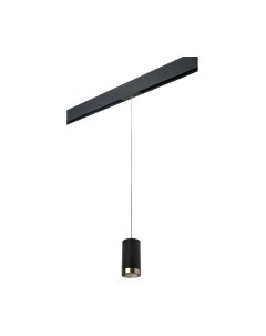 Трековый светильник Lightstar Rullo PRORP437431