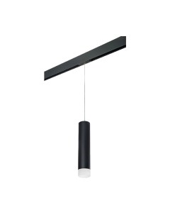 Трековый светильник Lightstar Rullo PRORP49731