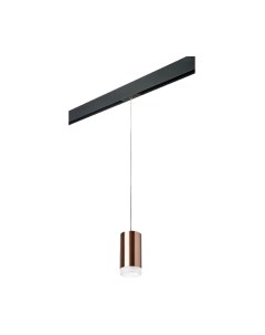 Трековый светильник Lightstar Rullo PRORP430430