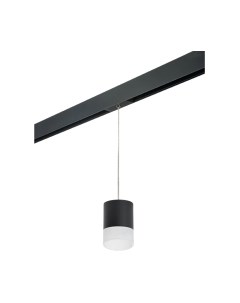 Трековый светильник Lightstar Rullo PRORP348781