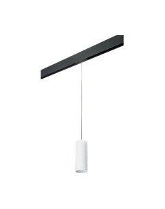 Трековый светильник Lightstar Rullo PRORP486