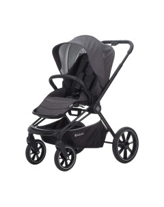 Детская прогулочная коляска Raiz 2023 / LC2302-05STGR Labala