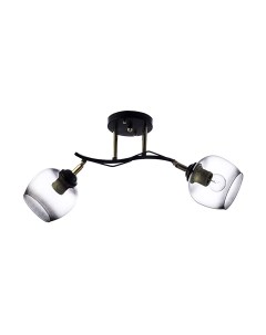 Потолочный светильник Aitin-Pro НПБ 02-2x60-101 / N4728/2 Aitin-pro