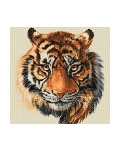 Набор алмазной вышивки Дикий хищник / WD2515 Wizardi