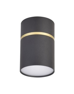 Потолочный светильник FAVOURITE 3068-1C Favourite