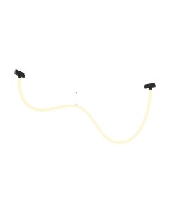 Трековый светильник Maytoni Tau TR101-2-50W3K-B