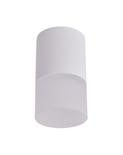 Потолочный светильник FAVOURITE 3069-1C Favourite