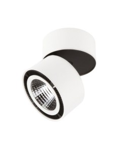 Точечный светильник Lightstar Forte Muro 213816