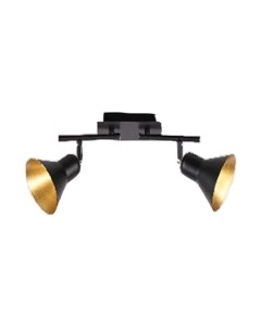 Потолочный светильник Aitin-Pro C1003/2 Aitin-pro