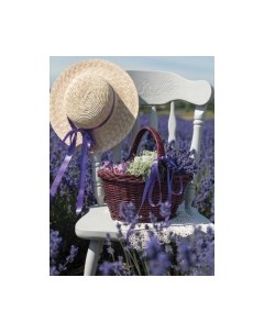 Картина Stamion Фотосессия